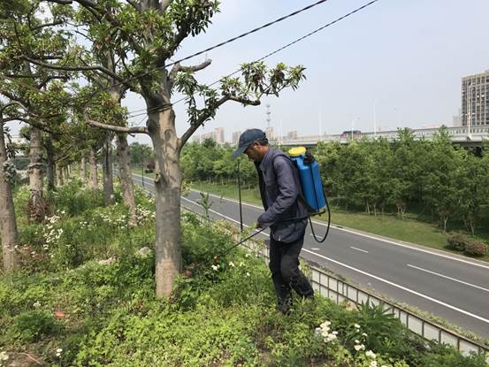 認真履行監管職責,督促專業人員全面,及時地開展綠化養護工作,不斷